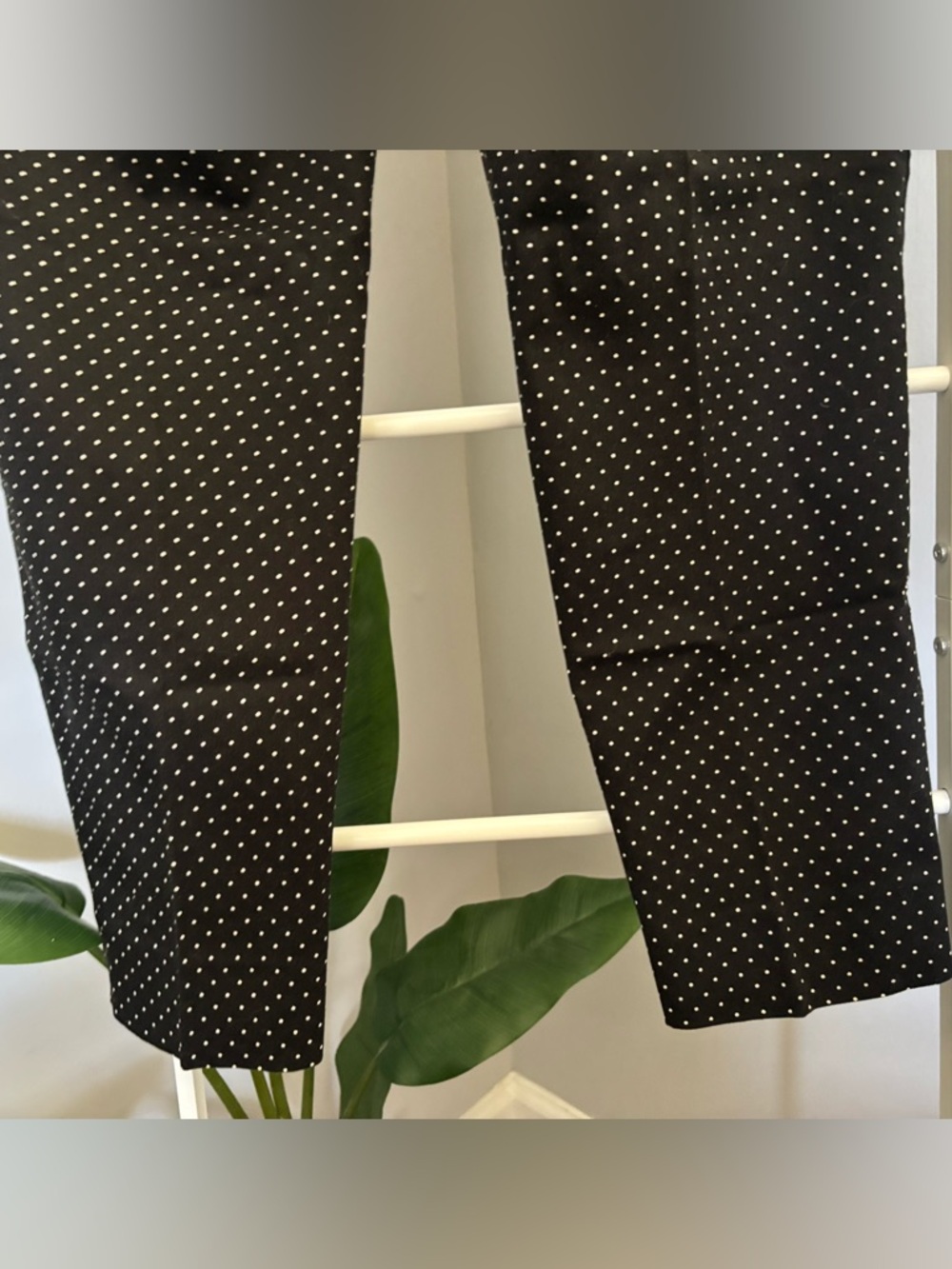 Dolce & Gabbana Black Polka Dot Pants - Picture 12 of 16